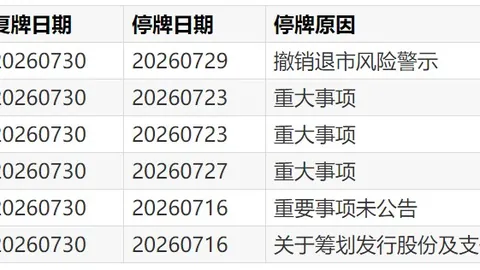 走进玖玺城围棋社群，体验公益课堂的满城棋韵